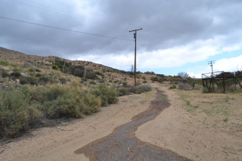 Enlarge photo 55