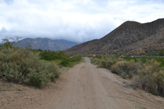 Enlarge photo 56
