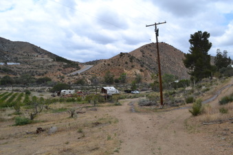 Enlarge photo 57