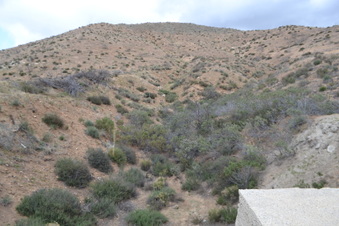 Enlarge photo 59