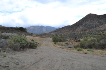Enlarge photo 66