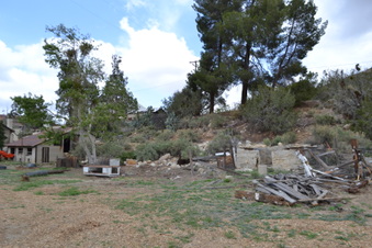 Enlarge photo 71