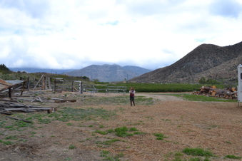 Enlarge photo 72