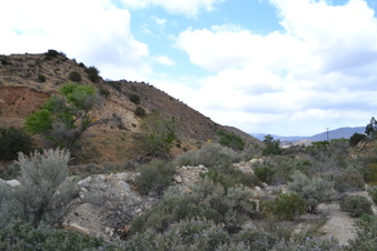Enlarge photo 83