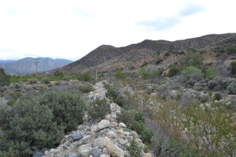 Enlarge photo 84