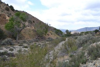 Enlarge photo 85