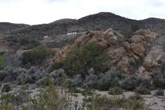 Enlarge photo 86