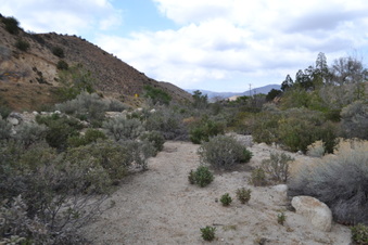 Enlarge photo 87