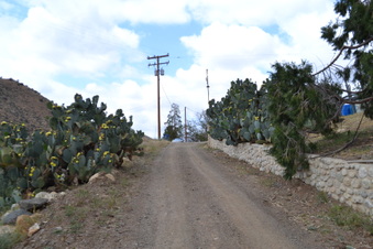 Enlarge photo 88