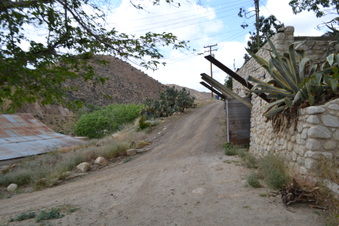 Enlarge photo 90