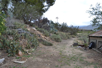Enlarge photo 98