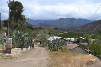 Enlarge photo 5