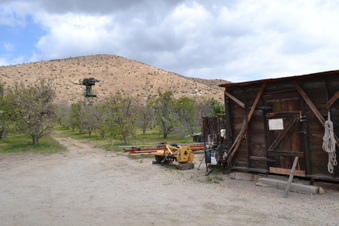 Enlarge photo 104