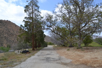Enlarge photo 2
