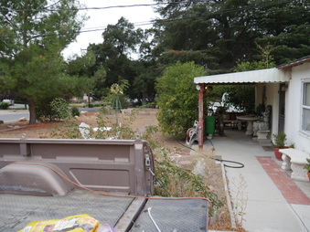 Enlarge photo 9