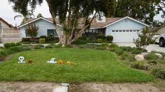 27829 PARKER RD. - CASTAIC 91384