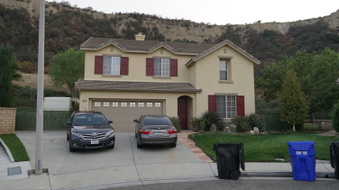 VARIOUS - CASTAIC