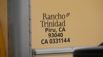 RANCHO DE TRINIDAD - PIRU