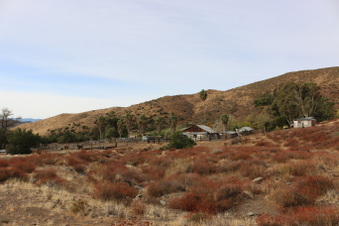 Enlarge photo 6