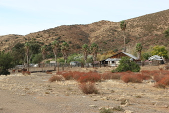 Enlarge photo 5