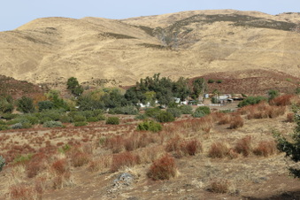 Enlarge photo 11