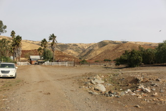 Enlarge photo 13