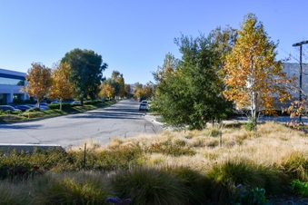 Enlarge photo 13