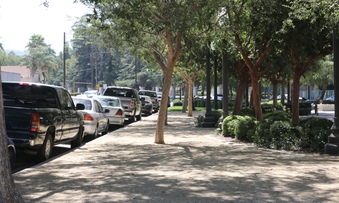 Enlarge photo 9