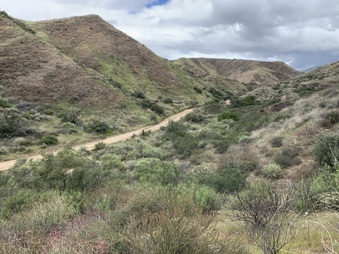 Enlarge photo 7