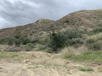 Enlarge photo 3