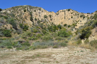 Silver Strand Ranch