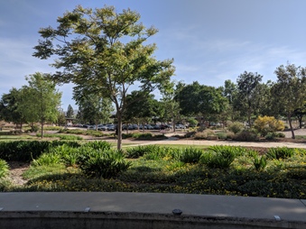 Enlarge photo 40
