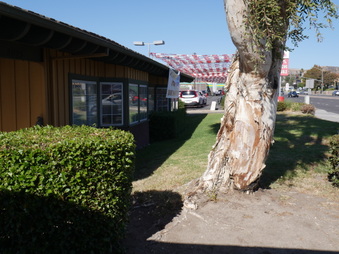 Enlarge photo 3