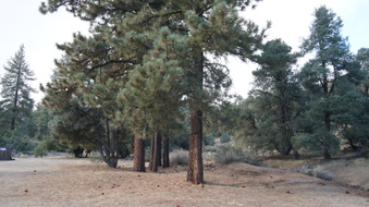 Enlarge photo 60
