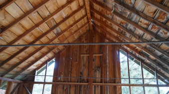 Enlarge photo 161