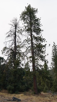 Enlarge photo 174