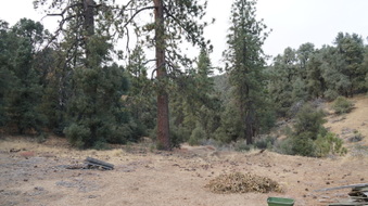 Enlarge photo 178