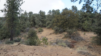 Enlarge photo 175