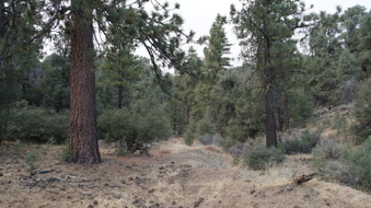 Enlarge photo 176