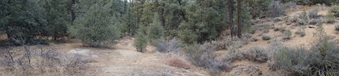 Enlarge photo 179