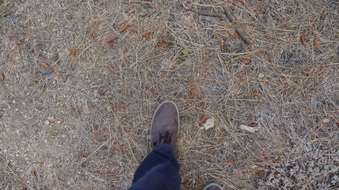 Enlarge photo 180