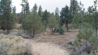 Enlarge photo 182