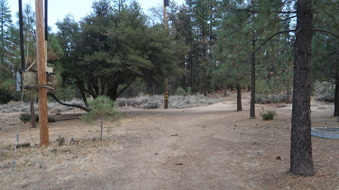 Enlarge photo 185
