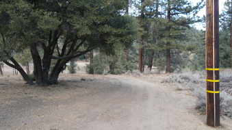 Enlarge photo 186