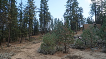 Enlarge photo 187