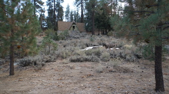 Enlarge photo 188