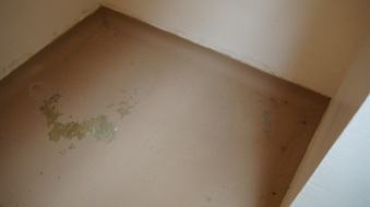 Enlarge photo 222