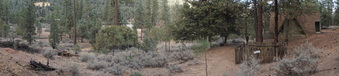 Enlarge photo 261