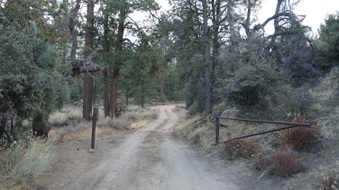 Enlarge photo 5