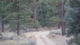 Enlarge photo 266